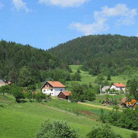 Planinski Mir Zaovine Buitenkant foto