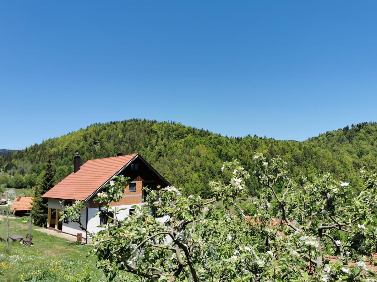 Planinski Mir Zaovine Buitenkant foto