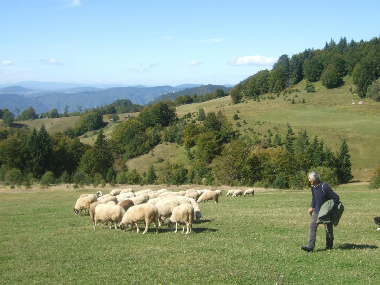 Planinski Mir Zaovine Buitenkant foto