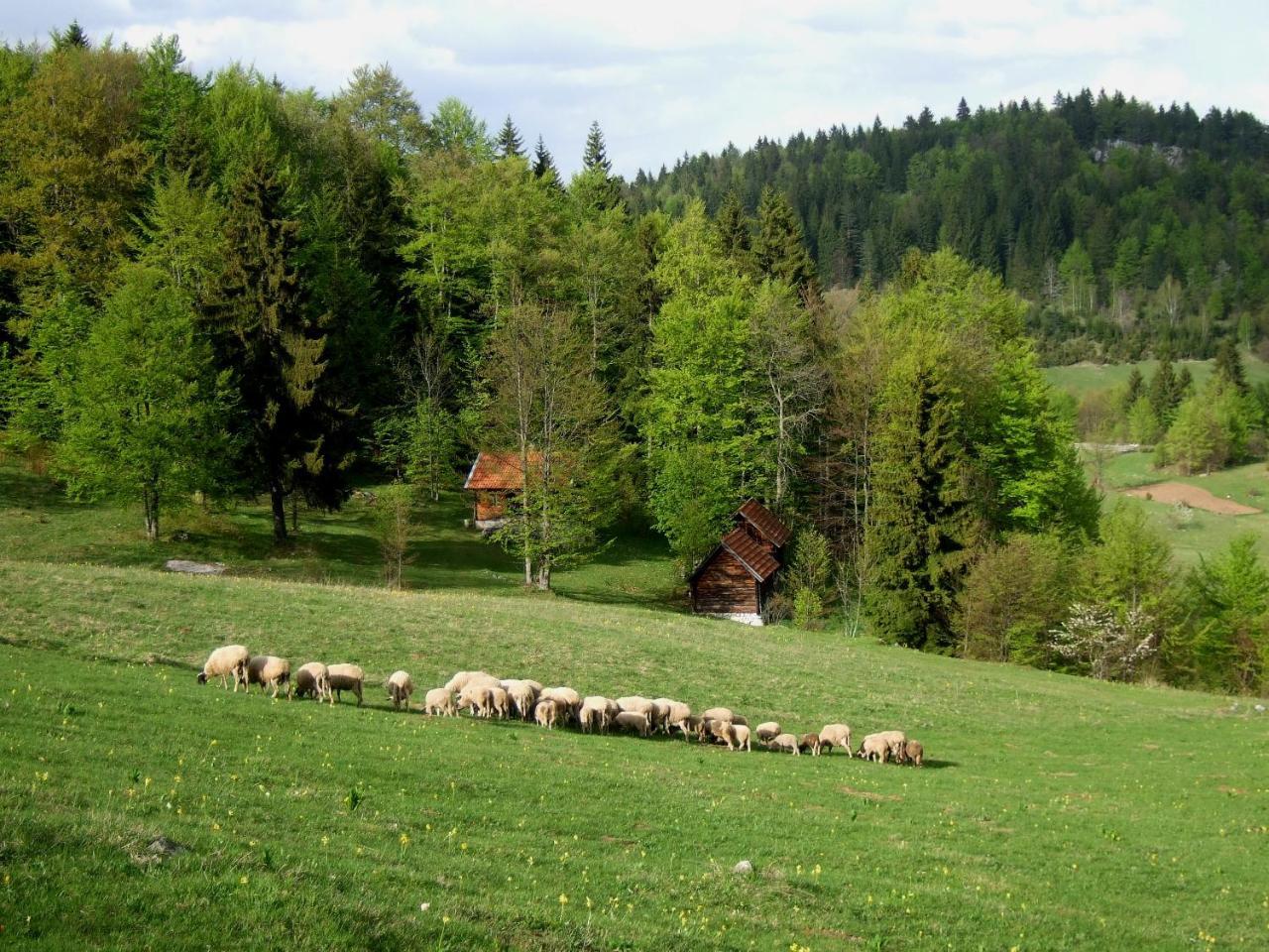 Planinski Mir Zaovine Buitenkant foto