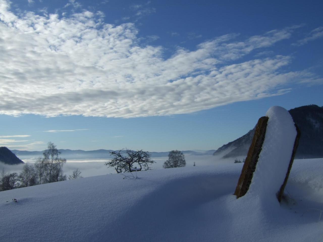 Planinski Mir Zaovine Buitenkant foto
